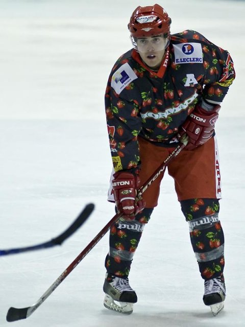 Photo hockey reportage D3 : P.O.- Anglet - Orléans