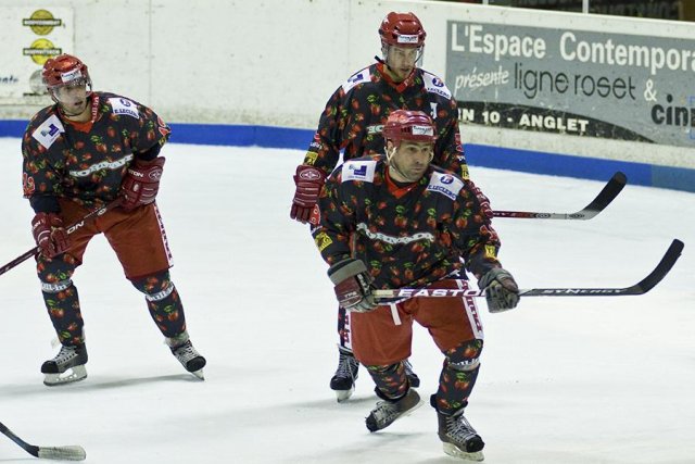 Photo hockey reportage D3 : P.O.- Anglet - Orléans