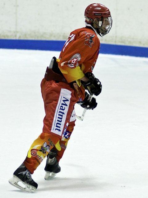 Photo hockey reportage D3 : P.O.- Anglet - Orléans