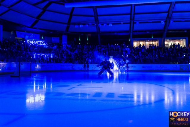 Photo hockey match Gap  - Bordeaux le 11/11/2016