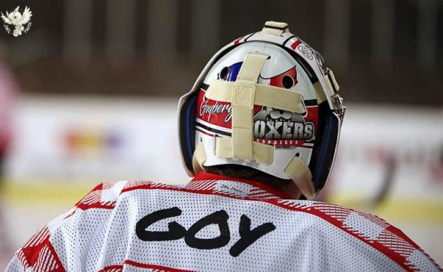 Photo hockey match Bordeaux - Strasbourg  le 20/11/2016
