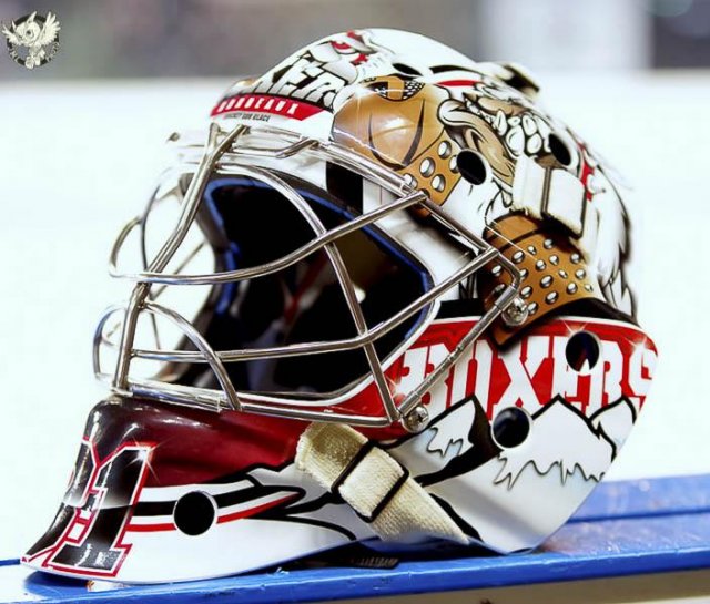 Photo hockey match Bordeaux - Strasbourg  le 20/11/2016