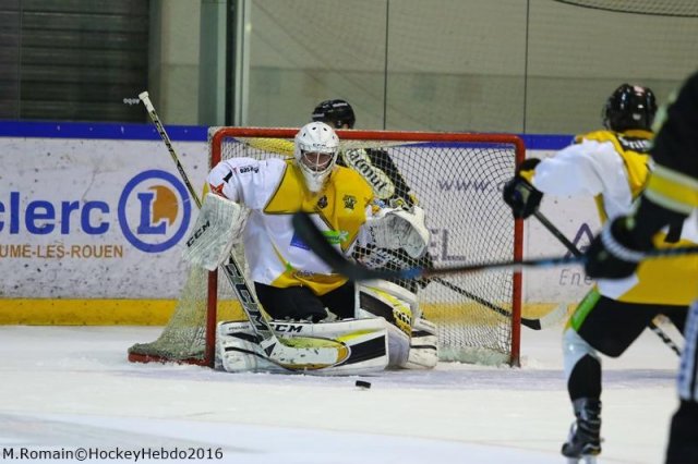 Photo hockey match Rouen - Strasbourg  le 10/01/2017