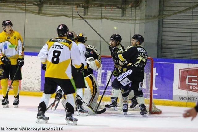 Photo hockey match Rouen - Strasbourg  le 10/01/2017