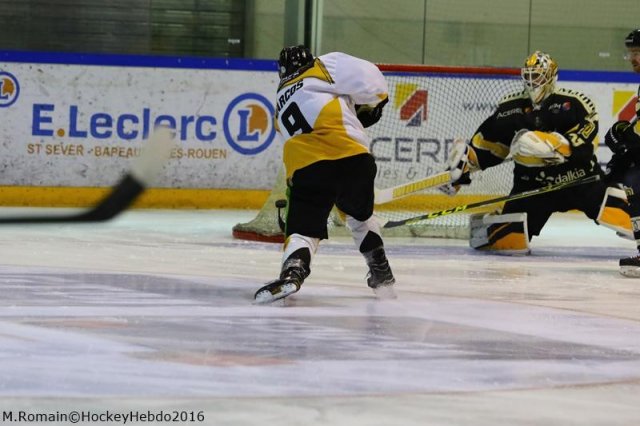 Photo hockey match Rouen - Strasbourg  le 10/01/2017