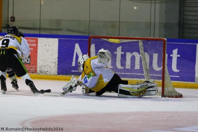 Photo hockey match Rouen - Strasbourg  le 10/01/2017