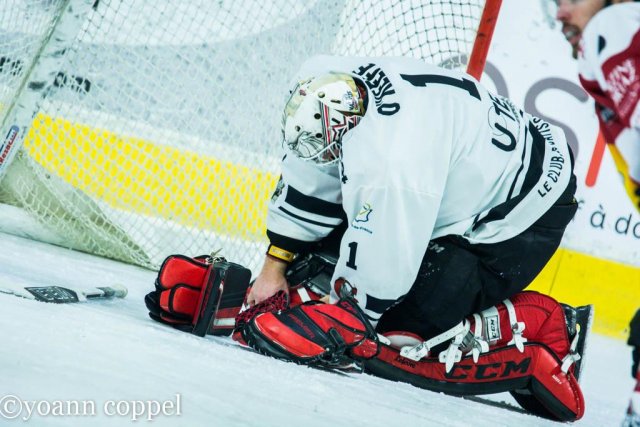Photo hockey match Chamonix / Morzine - Amiens  le 17/01/2017