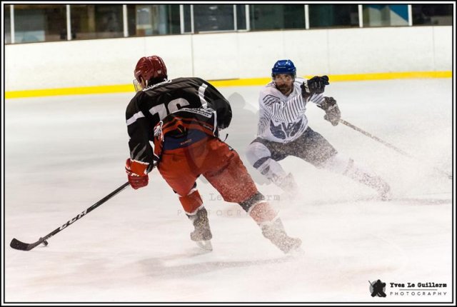 Photo hockey match Valence - Paris (FV) le 28/01/2017