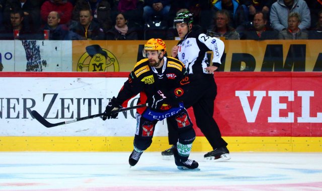 Photo hockey reportage NLA: Libérez les ours !