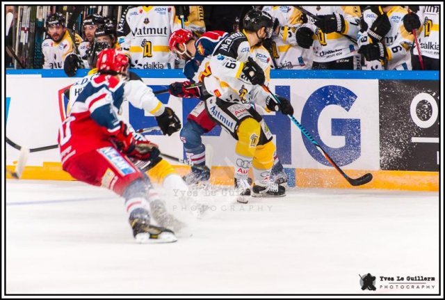 Photo hockey reportage Come back Coupe de France 2017 -  Yves Le Guillerm