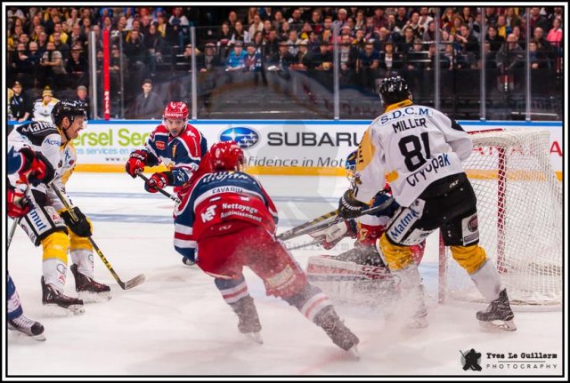 Photo hockey reportage Come back Coupe de France 2017 -  Yves Le Guillerm