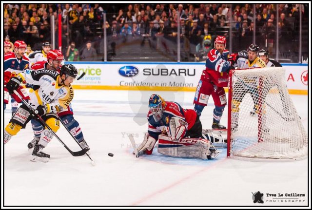 Photo hockey reportage Come back Coupe de France 2017 -  Yves Le Guillerm