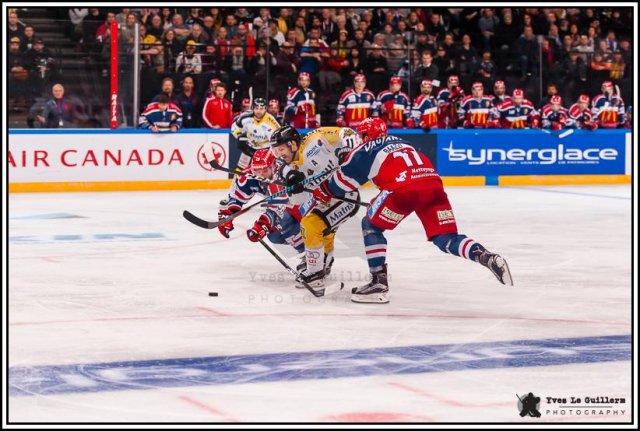Photo hockey reportage Come back Coupe de France 2017 -  Yves Le Guillerm