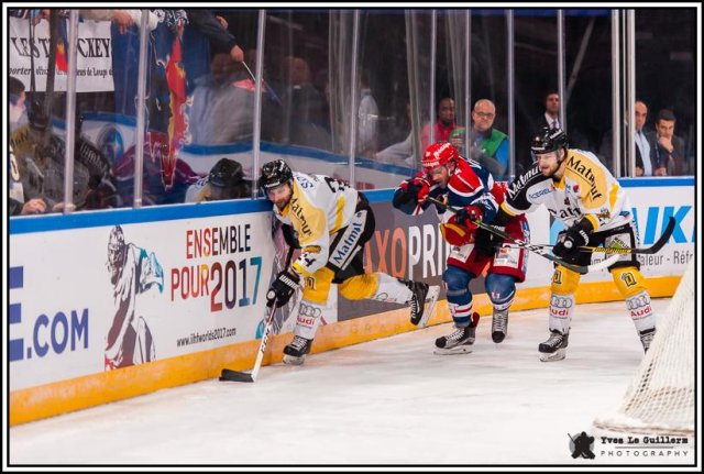 Photo hockey reportage Come back Coupe de France 2017 -  Yves Le Guillerm