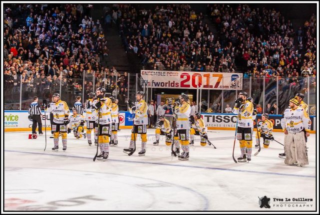 Photo hockey reportage Come back Coupe de France 2017 -  Yves Le Guillerm