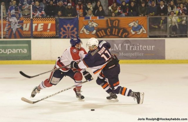 Photo hockey match Montpellier  - Wasquehal Lille le 25/02/2017