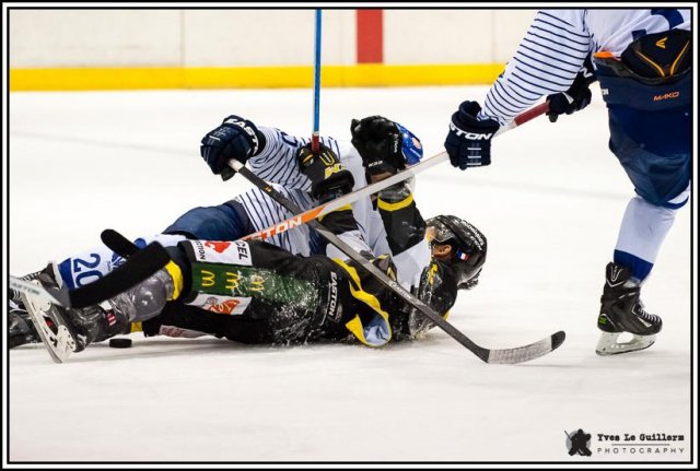 Photo hockey match Chambéry - Paris (FV) le 25/02/2017