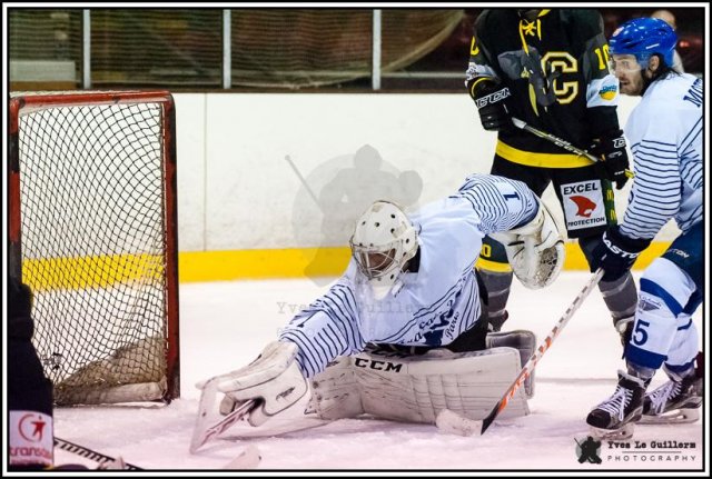 Photo hockey match Chambéry - Paris (FV) le 25/02/2017