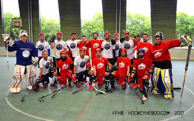 Photo hockey reportage Championnat de France de Hockey Ball
