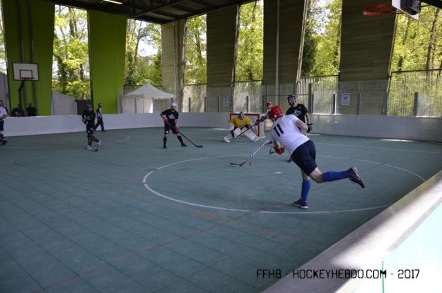 Photo hockey reportage Championnat de France de Hockey Ball