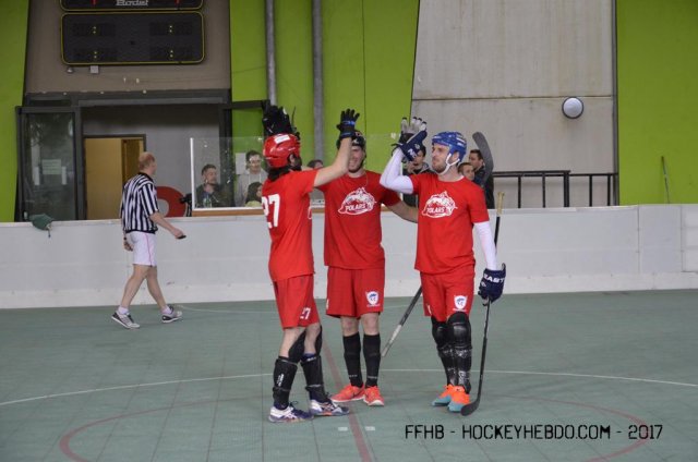 Photo hockey reportage Championnat de France de Hockey Ball