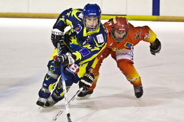 Photo hockey reportage D3 : P.O.- Orléans vs Limoges