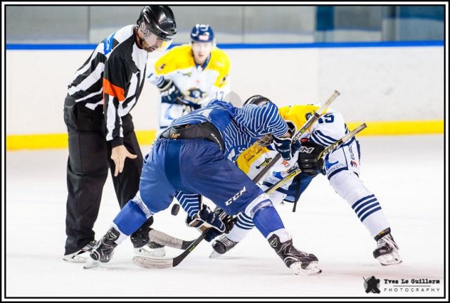 Photo hockey match Paris (FV) - Dunkerque le 14/11/2017