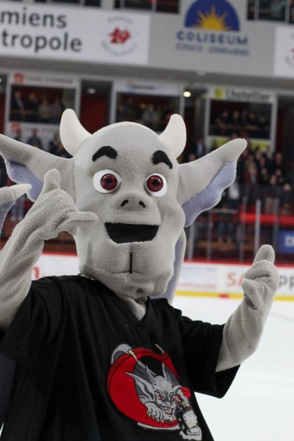 Photo hockey match Amiens  - Bordeaux le 17/11/2017