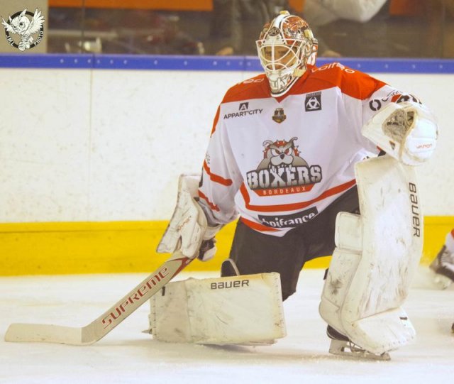 Photo hockey match Limoges - Bordeaux le 21/11/2017