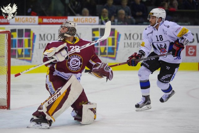 Photo hockey match Genève - Fribourg le 25/11/2017