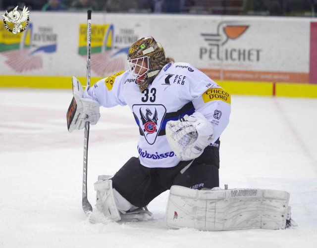 Photo hockey match Genève - Fribourg le 25/11/2017