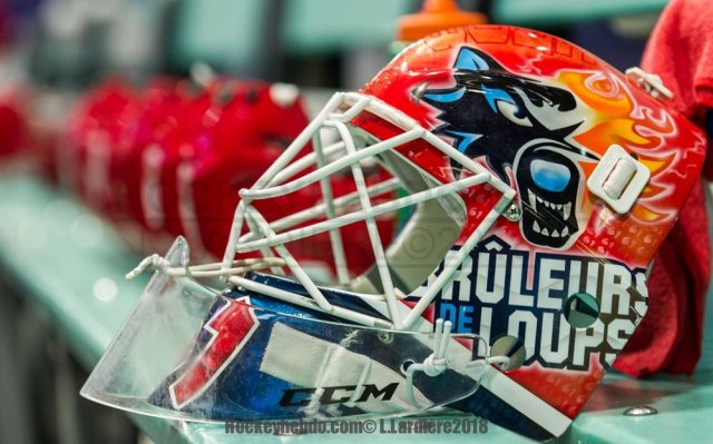 Photo hockey match Grenoble  - Bordeaux le 12/10/2018