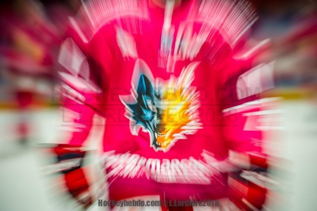 Photo hockey match Grenoble  - Bordeaux le 12/10/2018