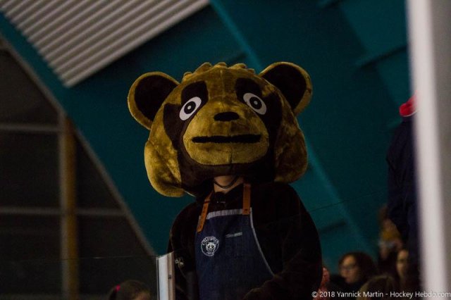 Photo hockey match Clermont-Ferrand - Roanne le 24/11/2018