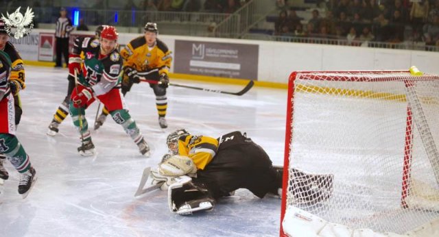Photo hockey match Anglet - Strasbourg  le 25/11/2018