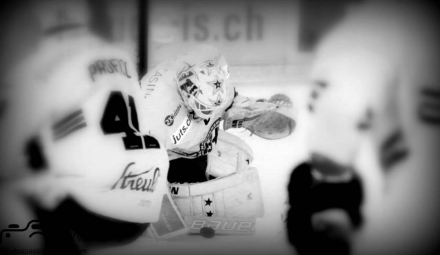 Photo hockey match Lausanne - Rapperswil-Jona le 05/01/2019
