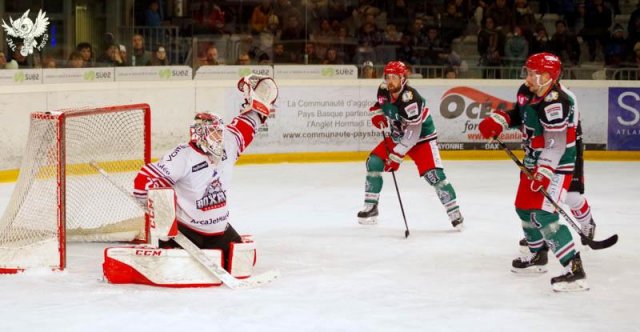 Photo hockey match Anglet - Bordeaux le 11/01/2019