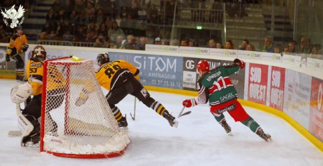Photo hockey match Anglet - Strasbourg  le 01/02/2019