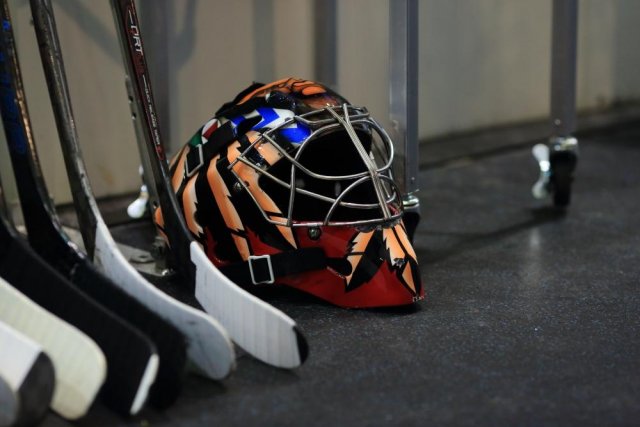 Photo hockey match Lyon - Nice le 03/02/2019