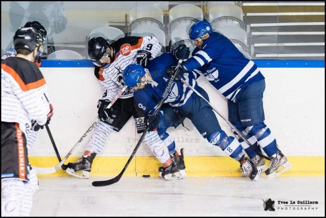 Photo hockey match Paris (FV) - Colmar le 03/02/2019