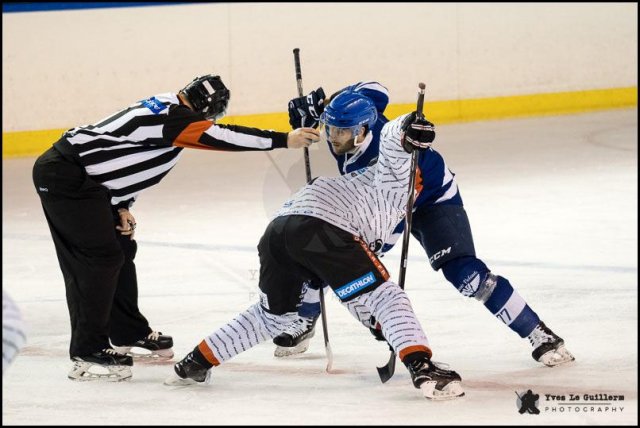 Photo hockey match Paris (FV) - Colmar le 03/02/2019