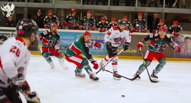 Photo hockey match Anglet - Mulhouse le 03/02/2019
