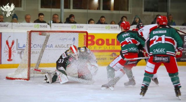 Photo hockey match Anglet - Mulhouse le 03/02/2019