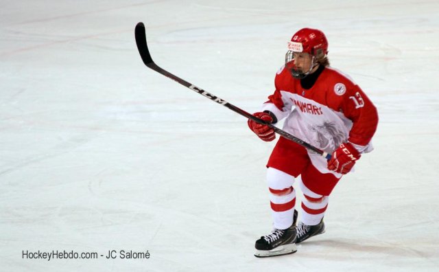 Photo hockey match Germany - Denmark le 17/04/2019