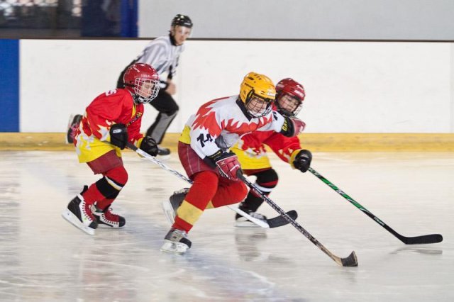 Photo hockey reportage Orléans vs Deuil : Photos U11
