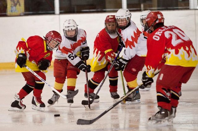 Photo hockey reportage Orléans vs Deuil : Photos U11
