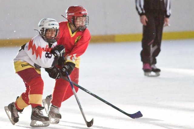 Photo hockey reportage Orléans vs Deuil : Photos U11