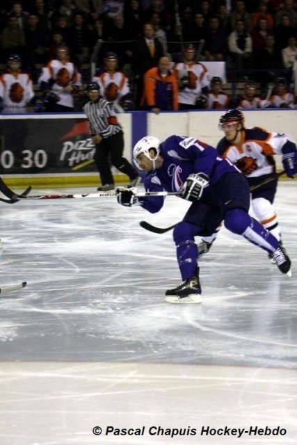 Photo hockey reportage France - Pays Bas : Reportage photos