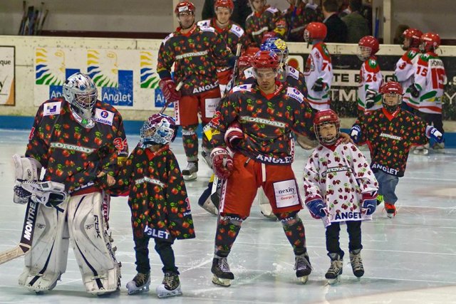 Photo hockey reportage D3 Carré Final : Anglet - Vanoise