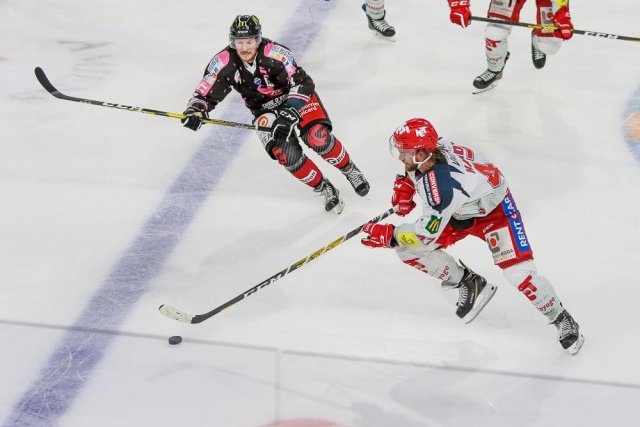 Photo hockey match Amiens  - Grenoble  le 20/10/2019